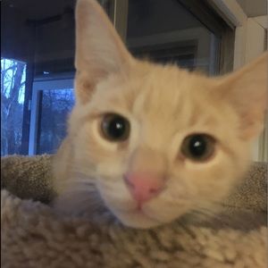 Meet your Posher, Ben